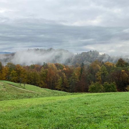Appartamento Adori Ilirska Bistrica Esterno foto