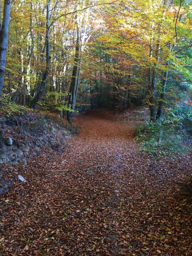 Appartamento Adori Ilirska Bistrica Esterno foto