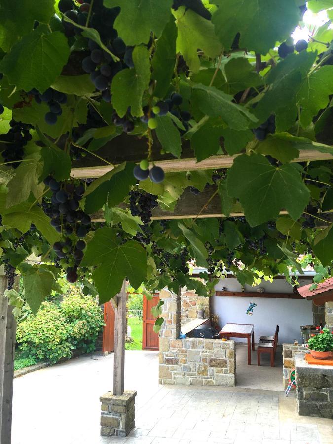 Appartamento Adori Ilirska Bistrica Esterno foto