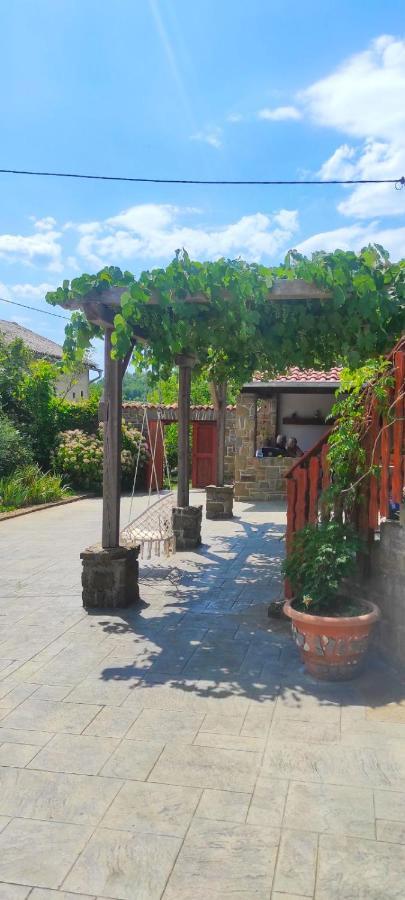 Appartamento Adori Ilirska Bistrica Esterno foto