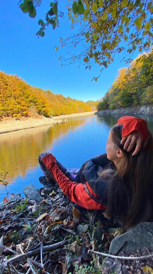 Appartamento Adori Ilirska Bistrica Esterno foto