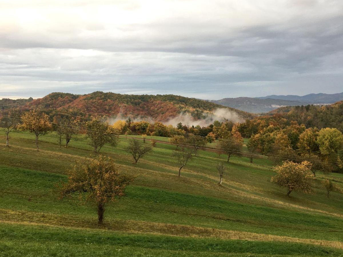 Appartamento Adori Ilirska Bistrica Esterno foto