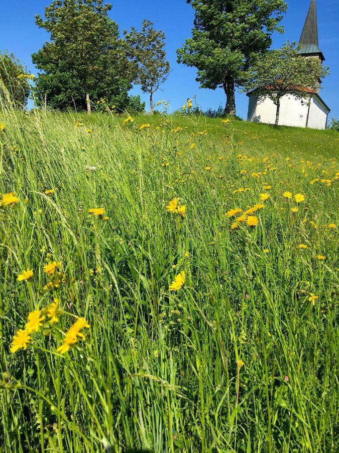 Appartamento Adori Ilirska Bistrica Esterno foto