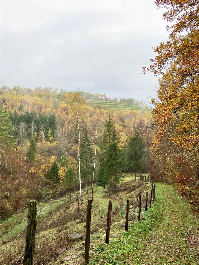 Appartamento Adori Ilirska Bistrica Esterno foto