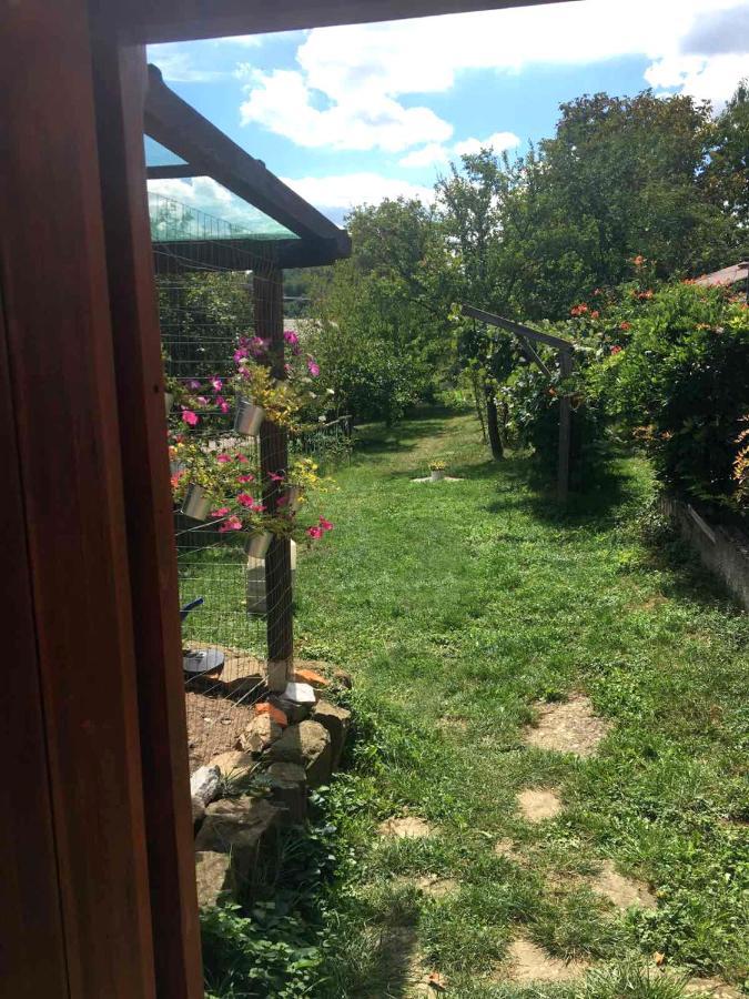 Appartamento Adori Ilirska Bistrica Esterno foto