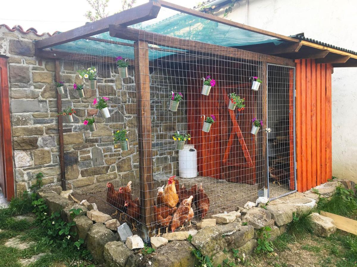 Appartamento Adori Ilirska Bistrica Esterno foto
